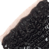 Swiss Lace Frontal Human Hair Wig