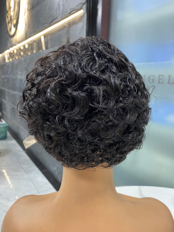 Wholesale Factory Cheap Pixie Wigs Africa Hair with Small Hurly Lace Front Human Hair Wig
